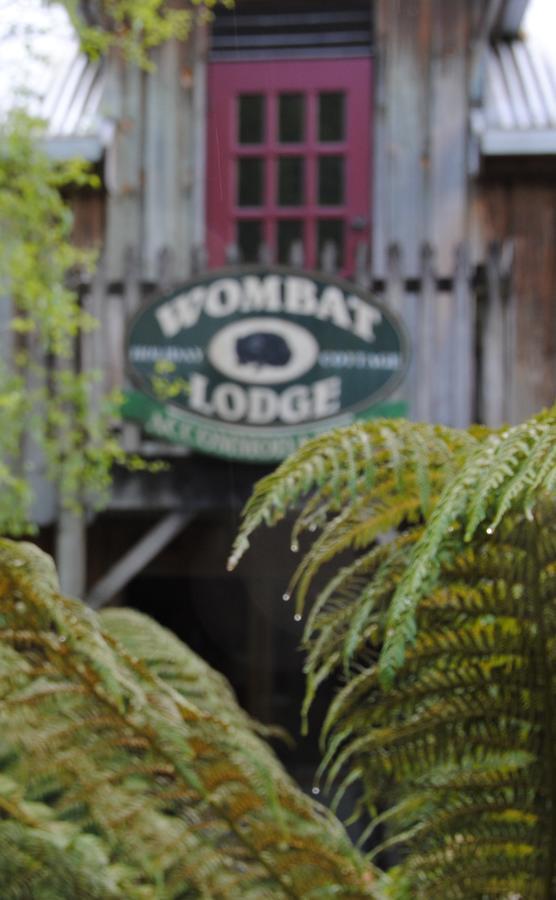 The Wombat *
